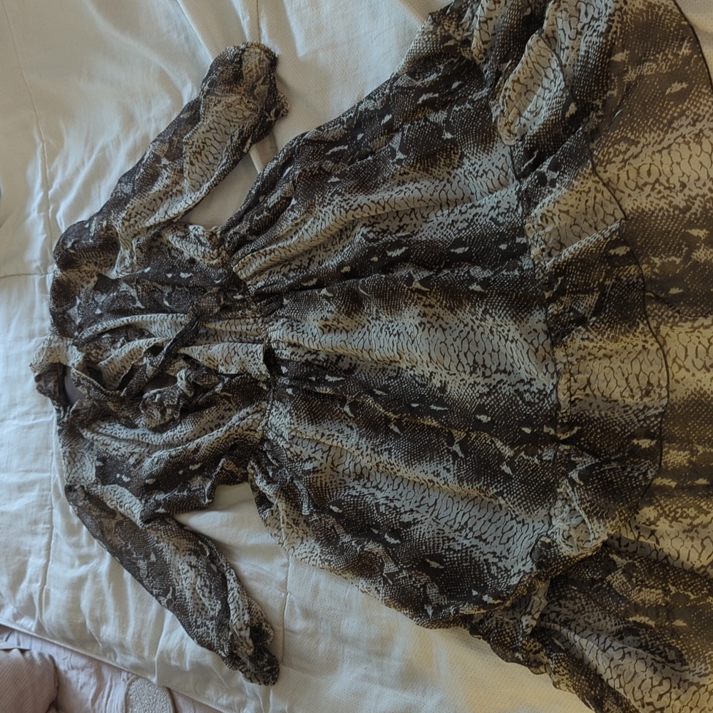Women's silk dress